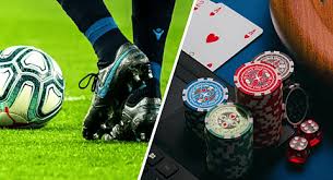 Discover the Excitement of Online Gaming with bd333 bet